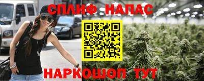 PSILOCYBIN Гагарин