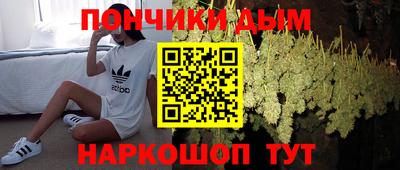 PSILOCYBIN Гагарин