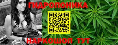 ГАЛЛЮЦИНОГЕННЫЕ ГРИБЫ Гай
