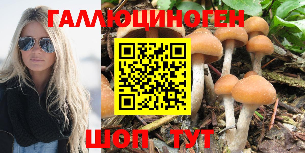 Галлюциногенные грибы MAGIC MUSHROOMS  Вход с VPN  Гулькевичи 