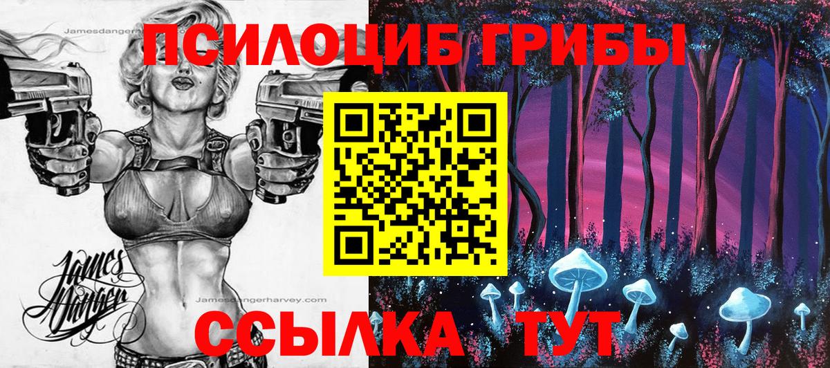Псилоцибиновые грибы прущие грибы Гулькевичи